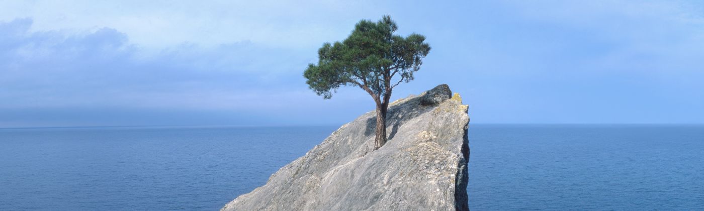 Digitale_operative_Resilienz_Header