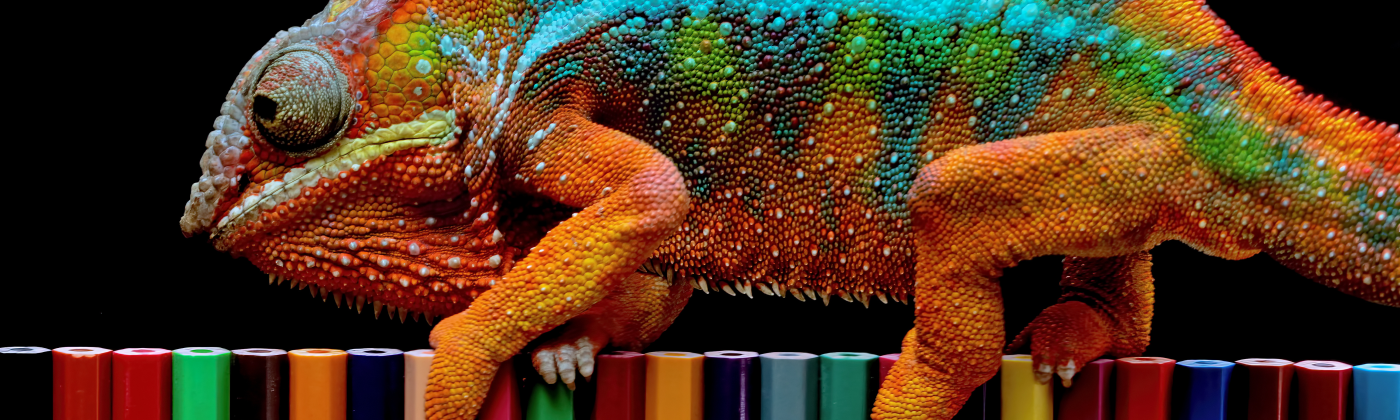 RPA_Header